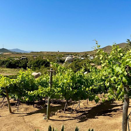 Cabanas Colibri Valle de Guadalupe Ngoại thất bức ảnh