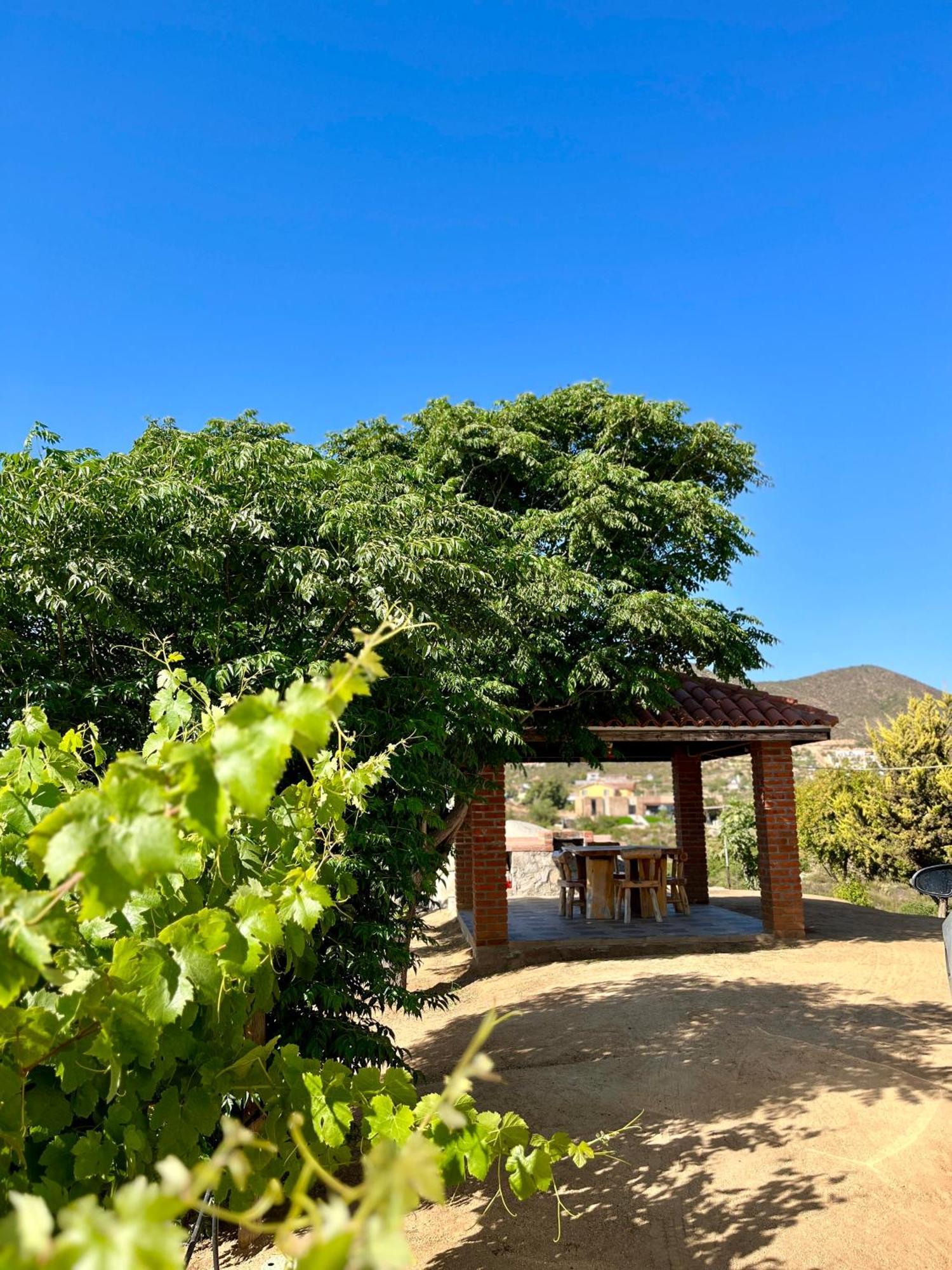 Cabanas Colibri Valle de Guadalupe Ngoại thất bức ảnh
