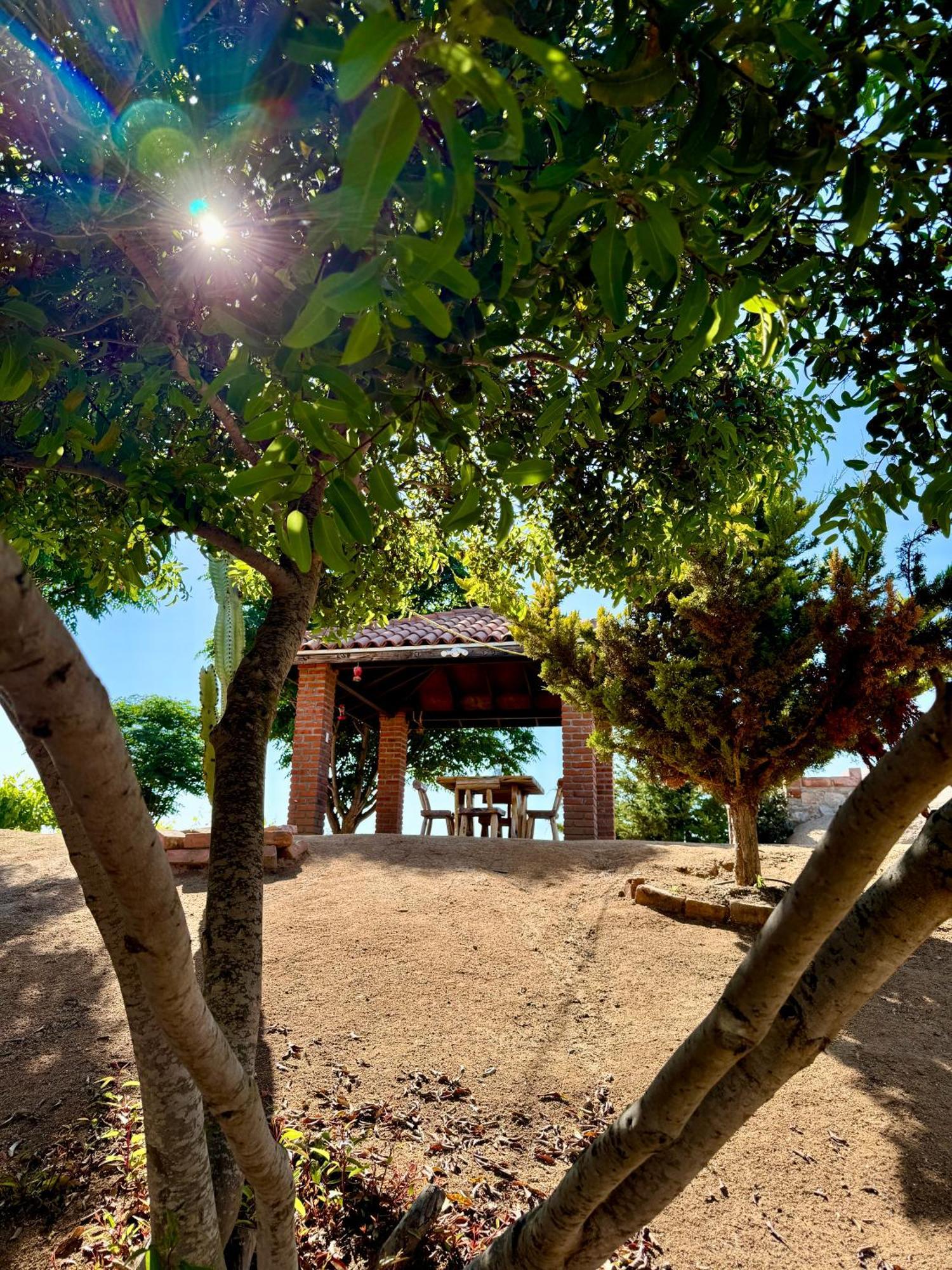 Cabanas Colibri Valle de Guadalupe Ngoại thất bức ảnh