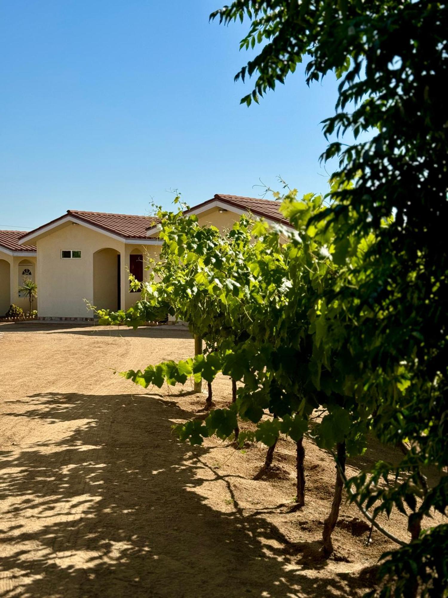 Cabanas Colibri Valle de Guadalupe Ngoại thất bức ảnh